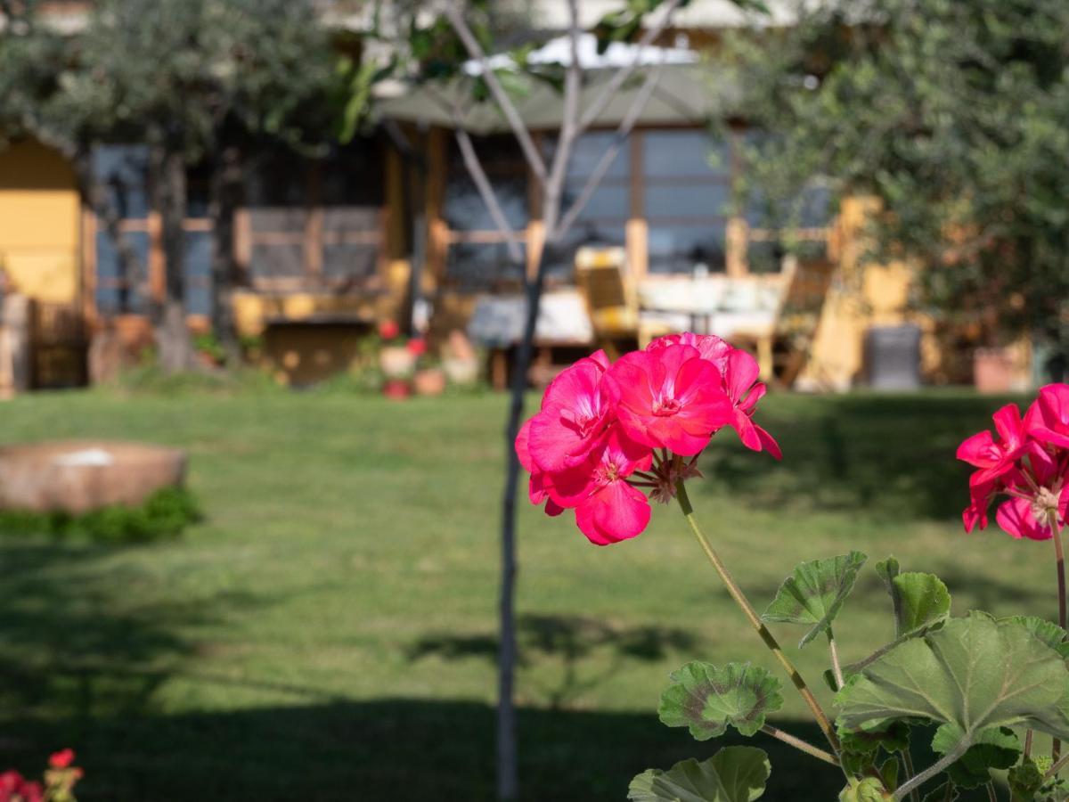 B&B Casa Decimo Greve in Chianti Eksteriør bilde